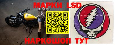 стаф Донецк