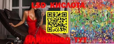стаф Донецк