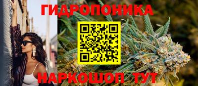 стаф Донецк