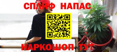 mdpv Дубна