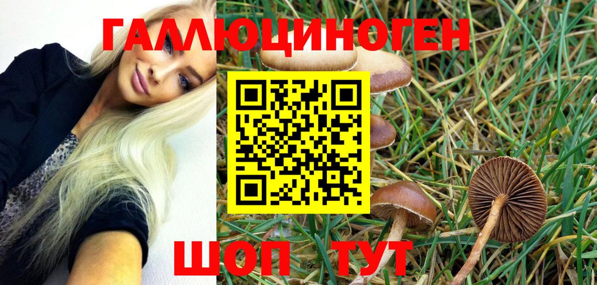 Галлюциногенные грибы Psilocybe Лянтор