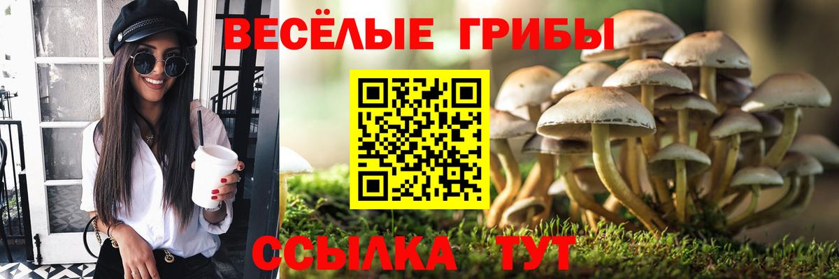 купить закладку  Вход с VPN  Галлюциногенные грибы Psilocybine cubensis  Лянтор  Галлюциногенные грибы GOLDEN TEACHER 